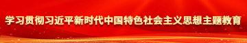 丝袜舞蹈老师手淫故事学习贯彻习近平新时代中国特色社会主义思想主题教育